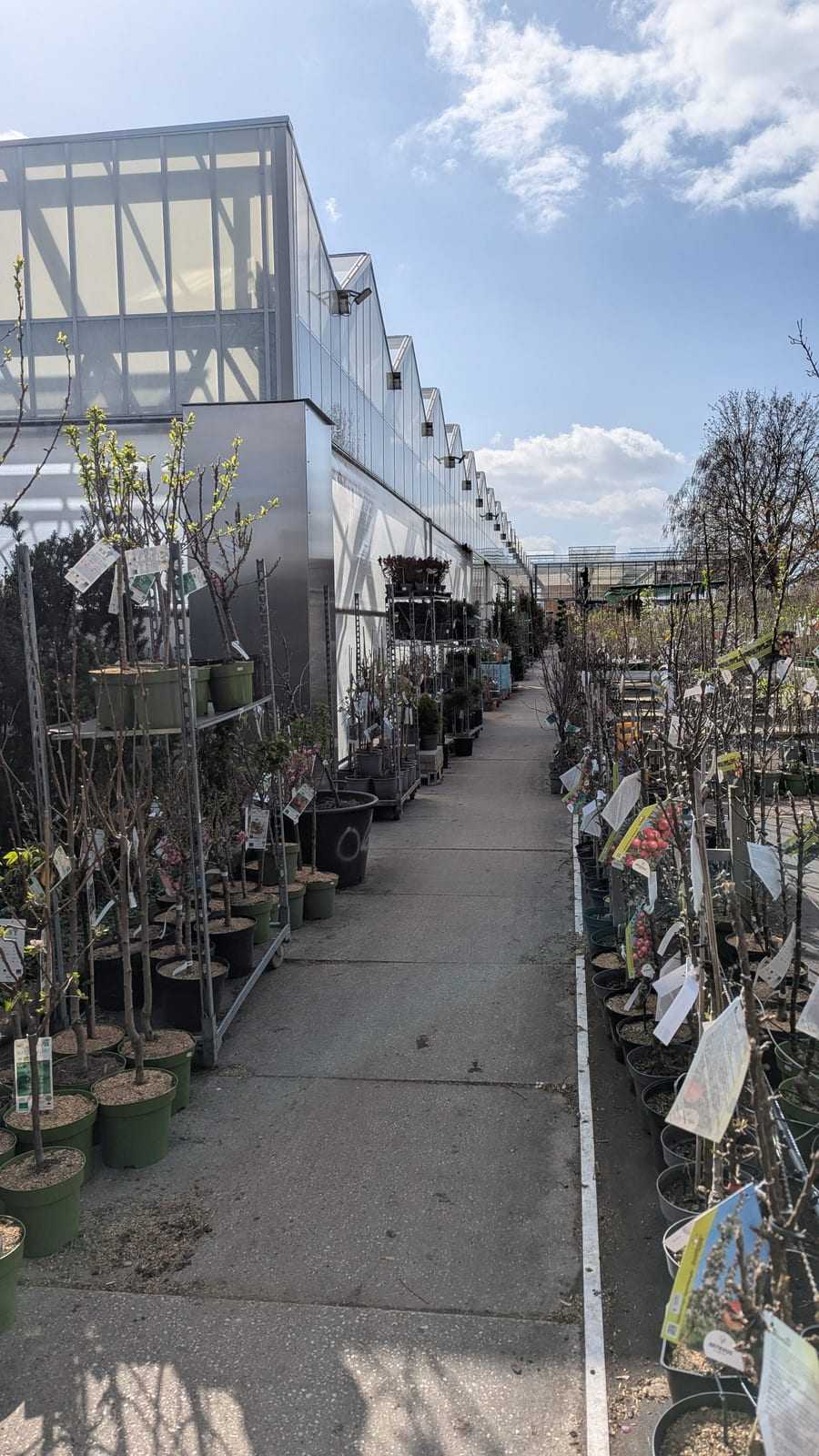 Blick über die Freilandreihen zu den Gewächshäusern